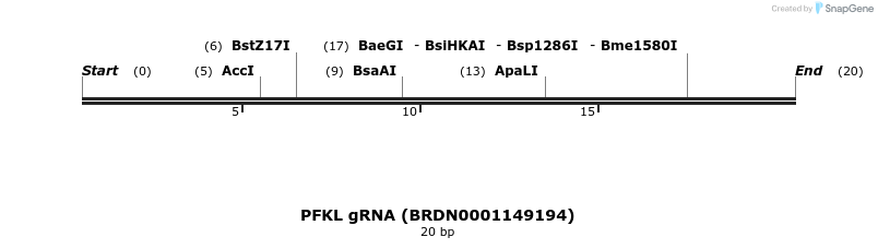 144869_map