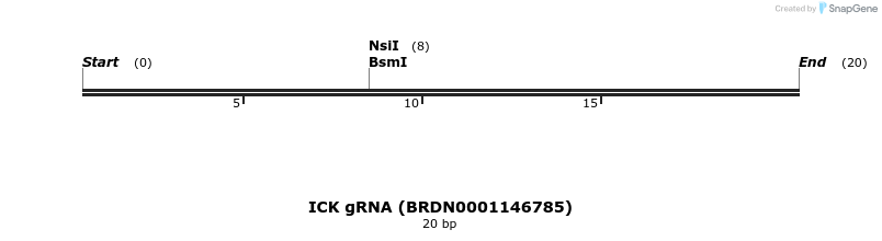 144872_map