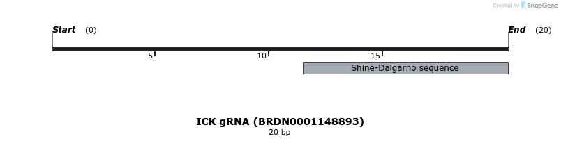 144873_map