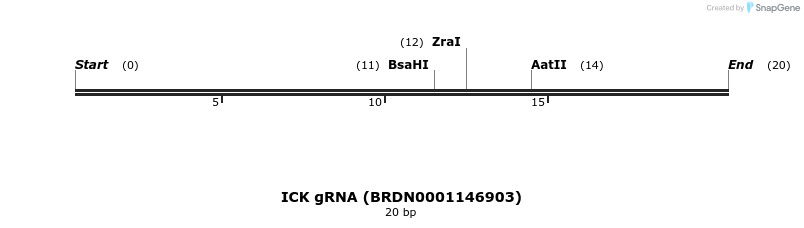 144874_map