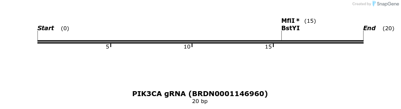 144875_map