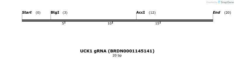 144880_map