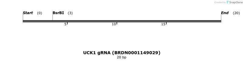 144881_map
