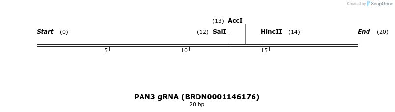 144886_map