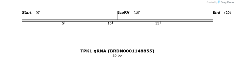 144889_map