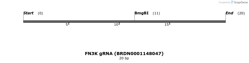 144893_map