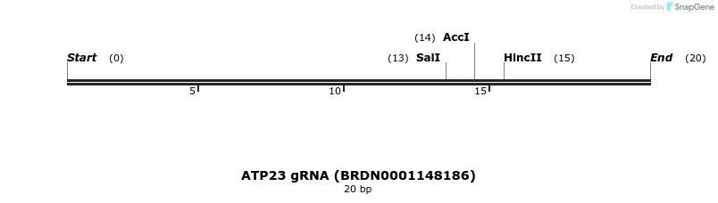 144897_map