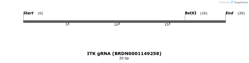 144907_map