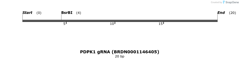 144913_map
