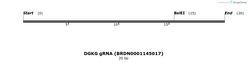 144915_map