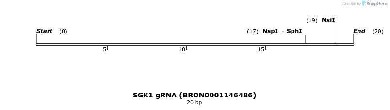 144919_map