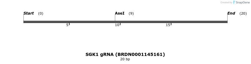144920_map