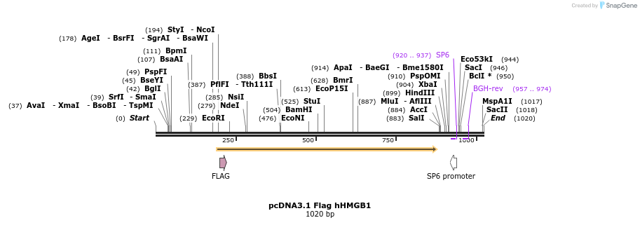 14493_map