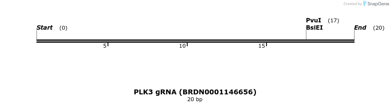 144931_map