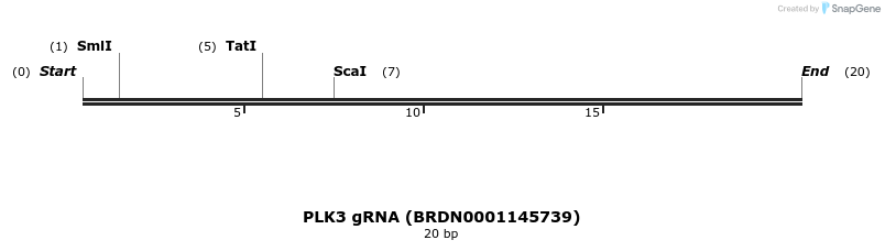 144932_map