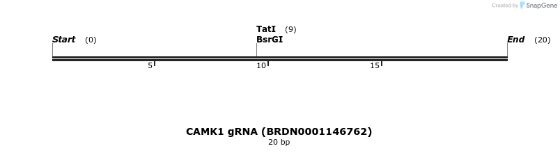 144938_map