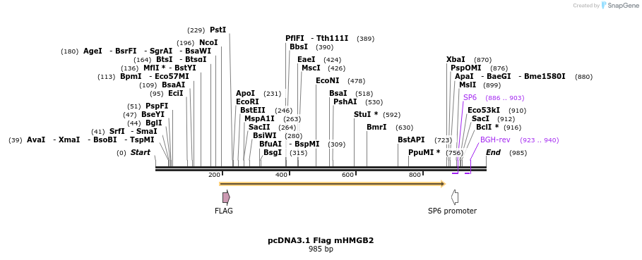 14494_map