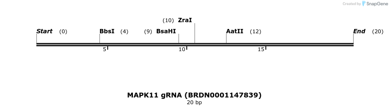 144944_map