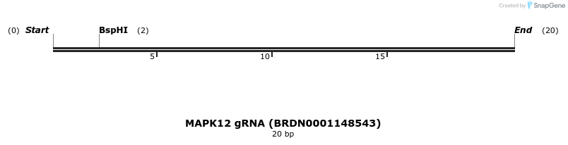144946_map