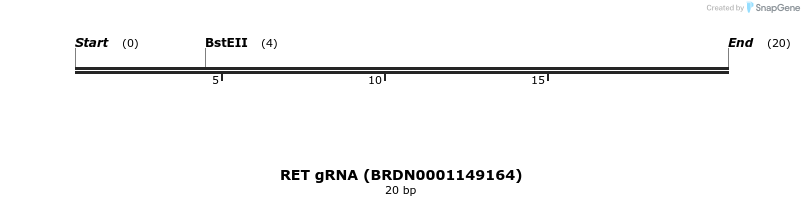 144958_map