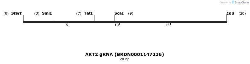 144964_map