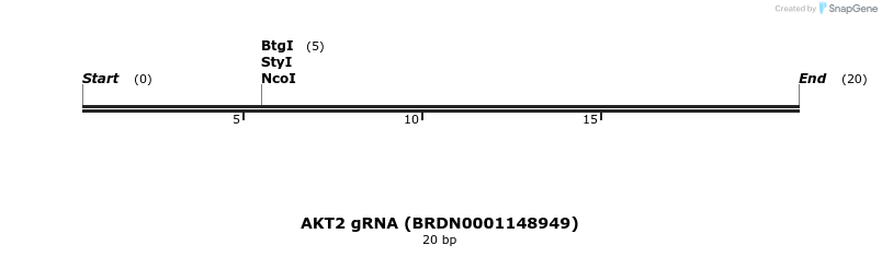 144966_map