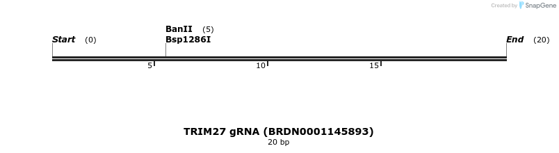 144976_map