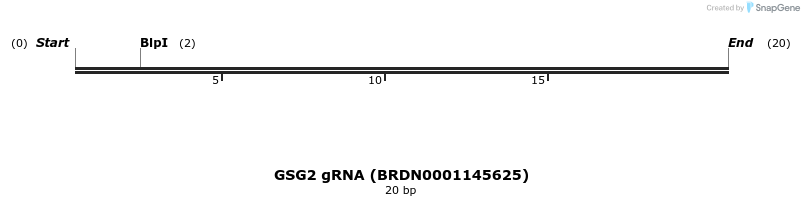144980_map