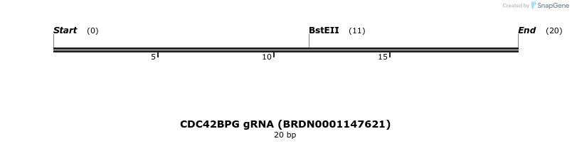 144986_map