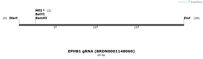 144994_map