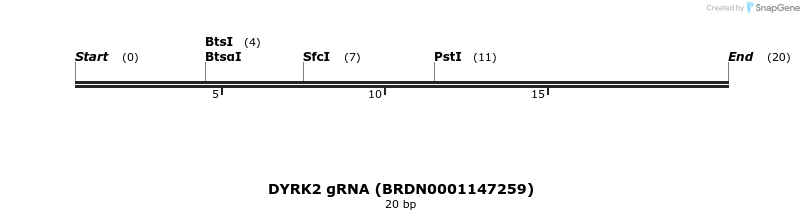 144996_map