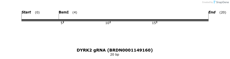 144997_map