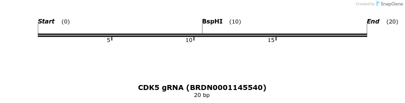 145002_map