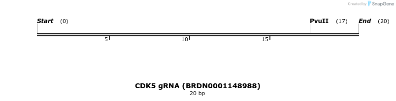 145004_map