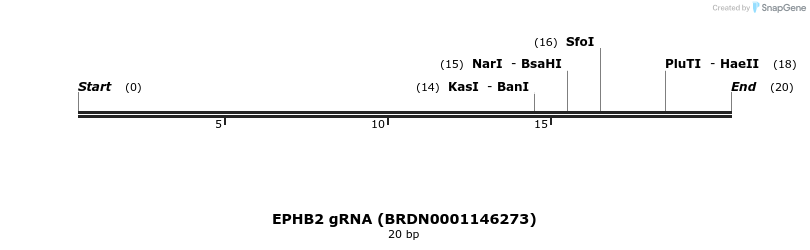 145005_map
