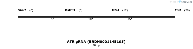 145010_map