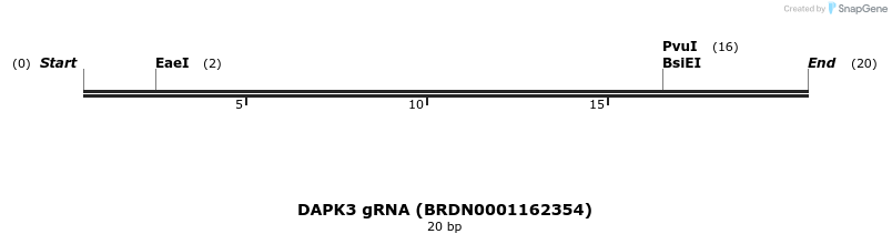 145016_map