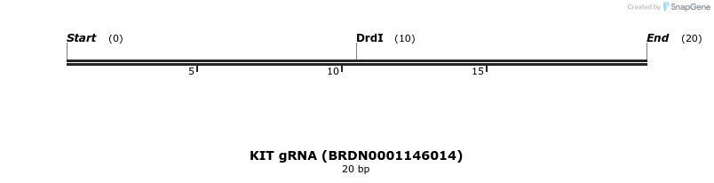 145021_map