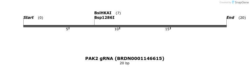 145029_map