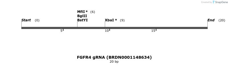 145032_map