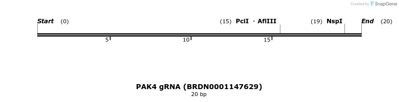 145033_map