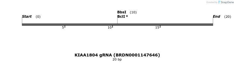 145046_map