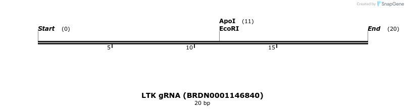 145059_map