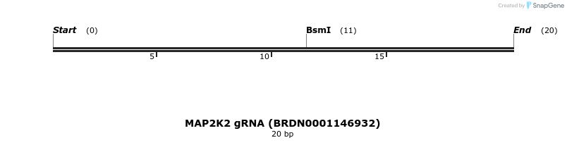 145062_map