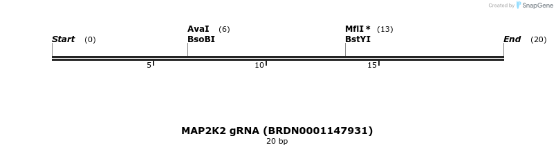 145063_map