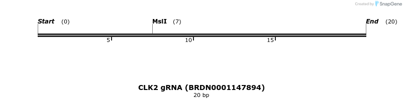 145065_map