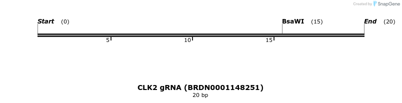 145066_map