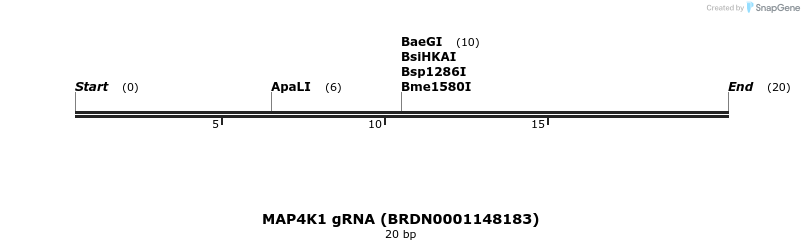 145068_map