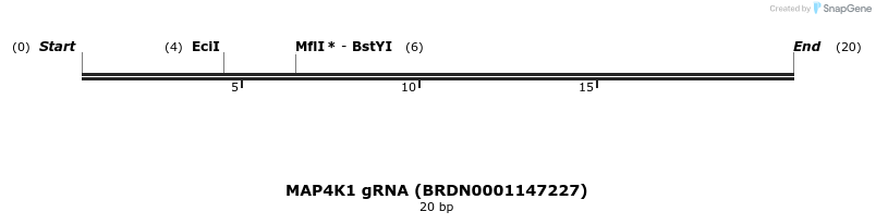 145070_map