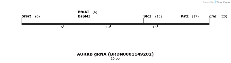 145077_map